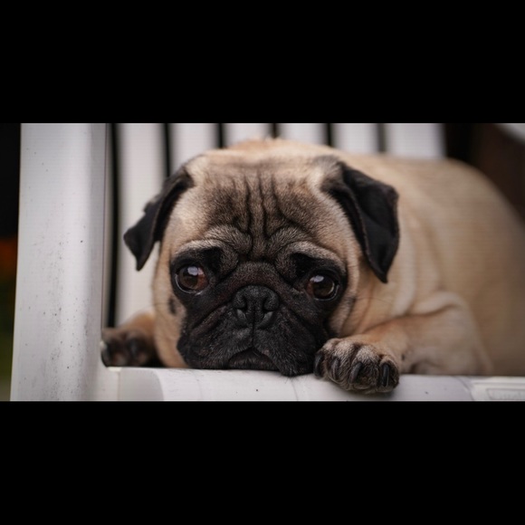 dexters_mommy